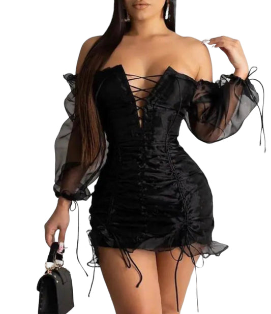 Sarai Mesh Ruched Mini Dress| Black